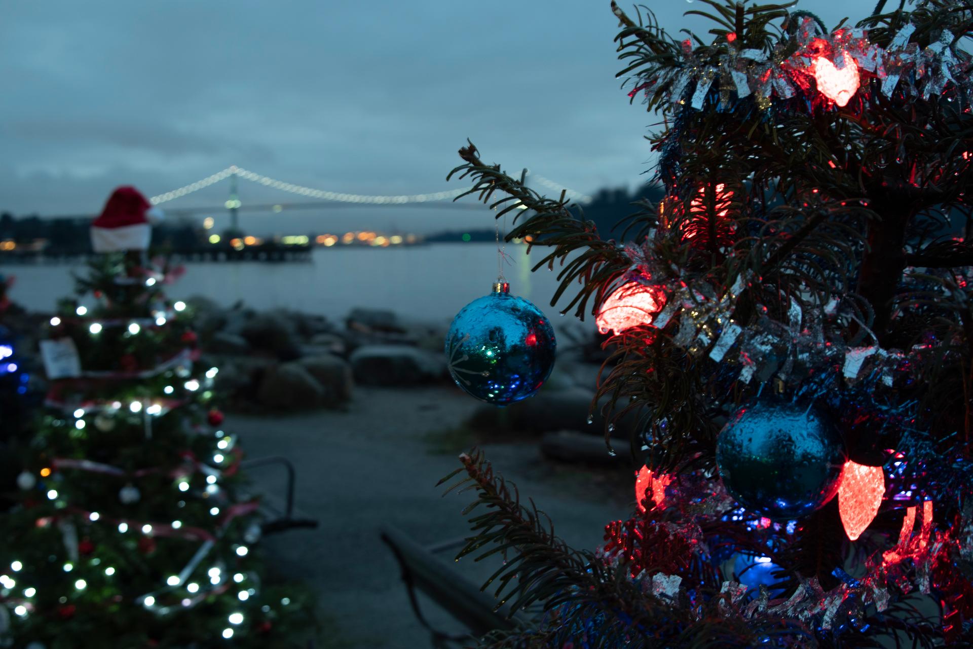 Lions Gate Bridge from West Vancouver at Christmas