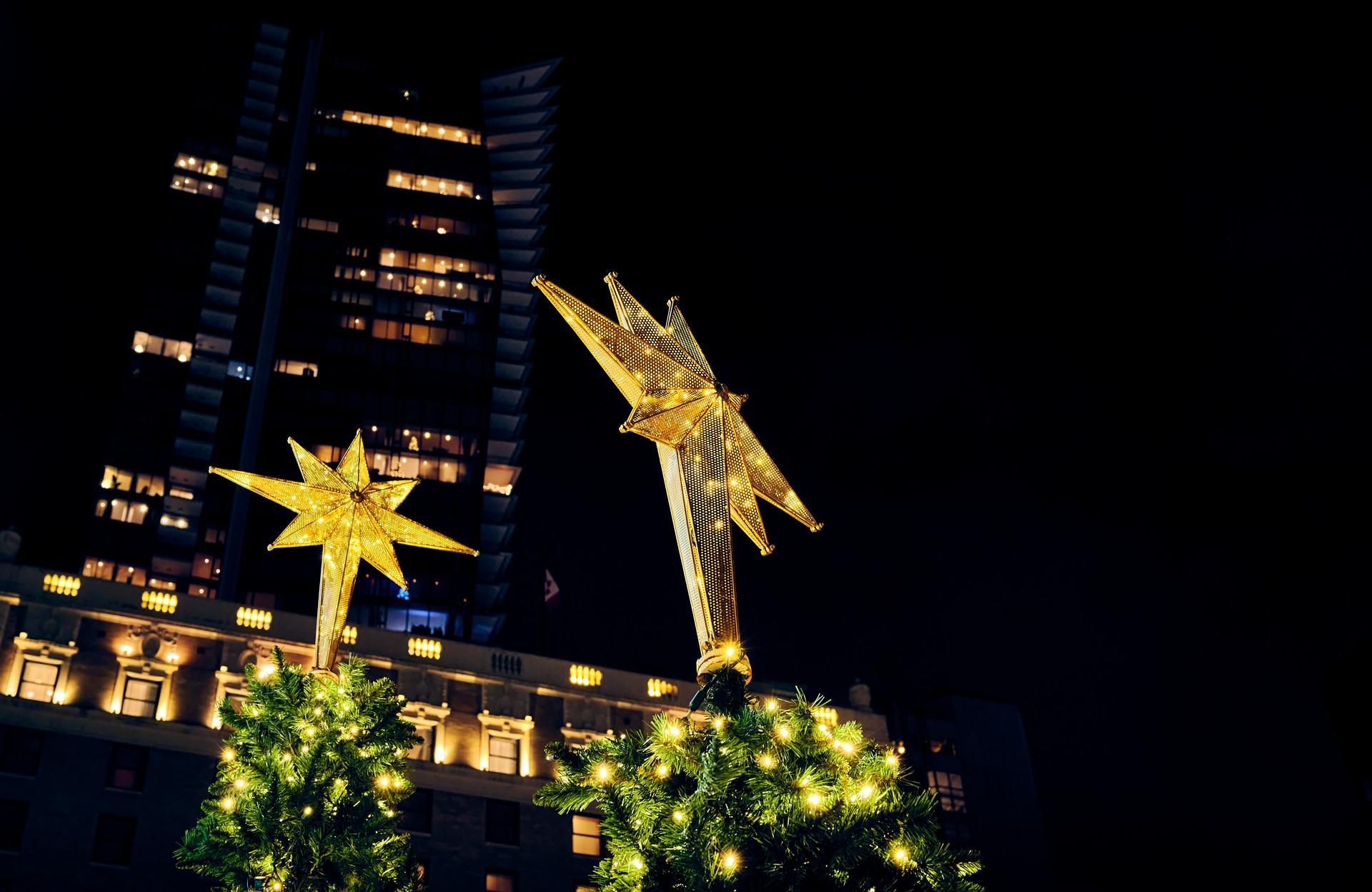 Glowing Christmas stars against the dark sky